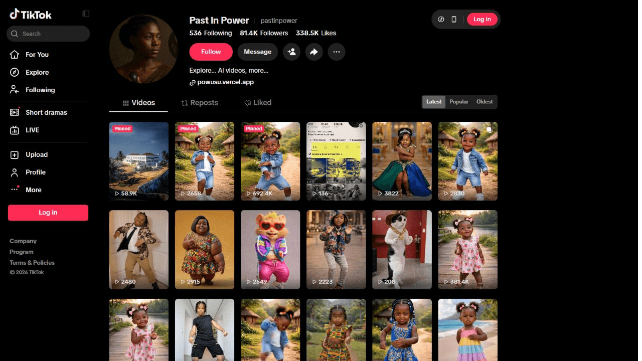 TikTok Video Portfolio project preview